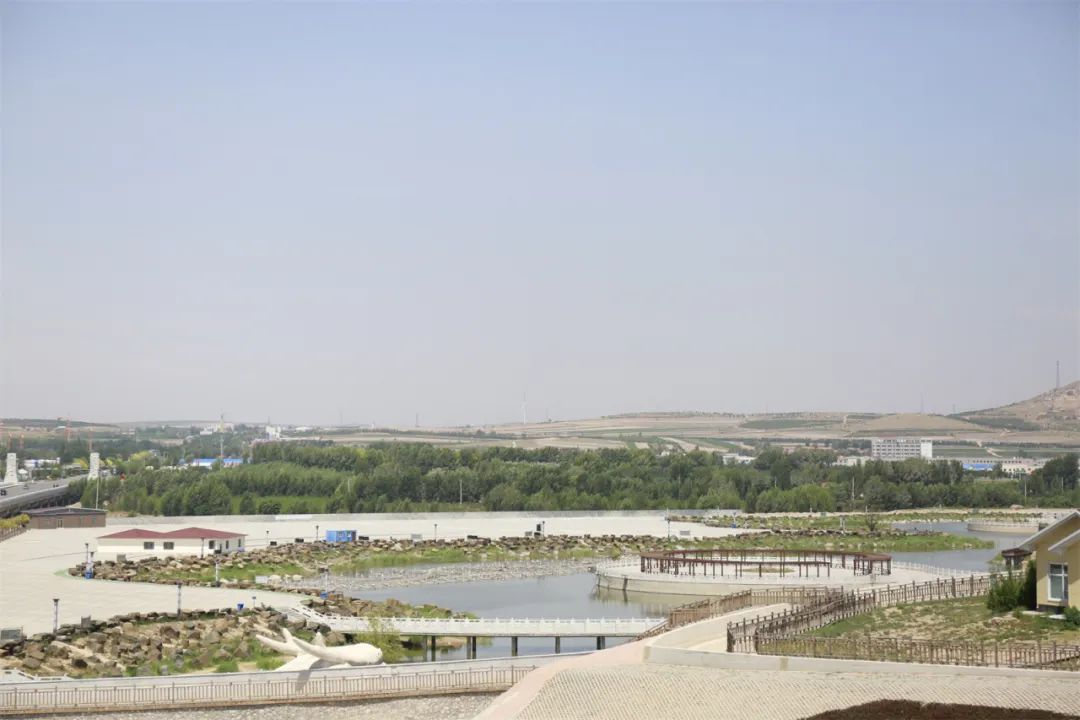 1687139392717040.jpg 1687139392717040.jpg