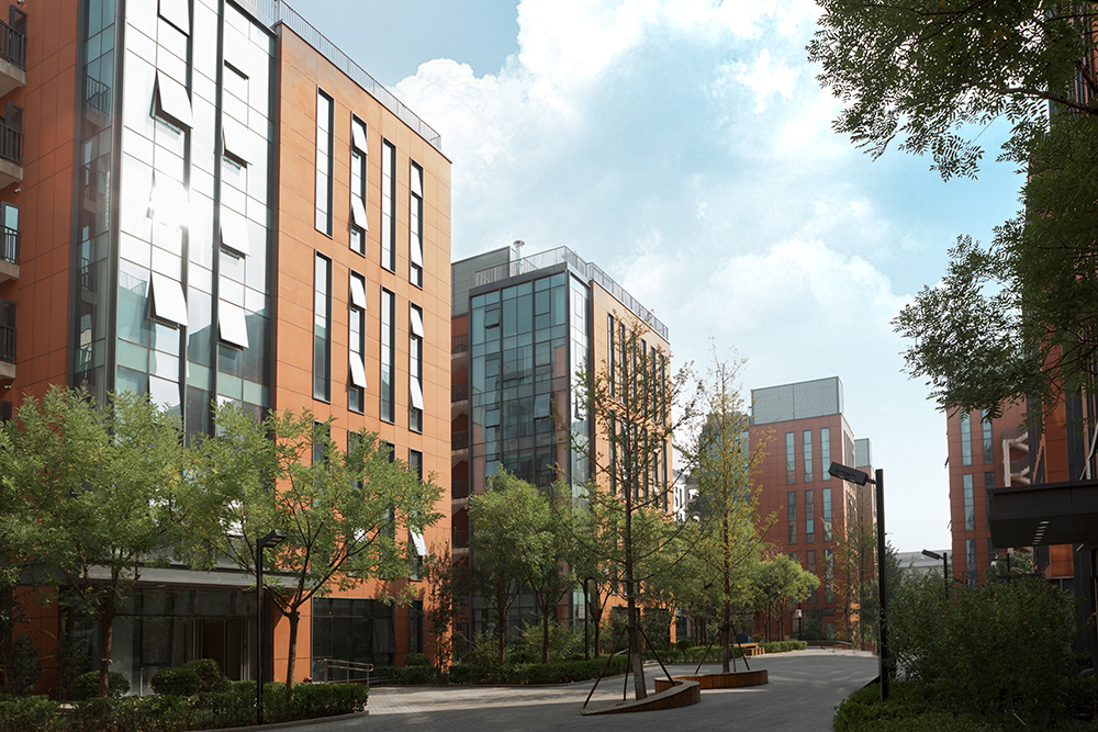 1704811158800332.jpg 333.jpg